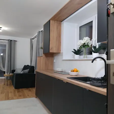 Διαμέρισμα Nowy Sowia Z Widokiem Na Snieznik *