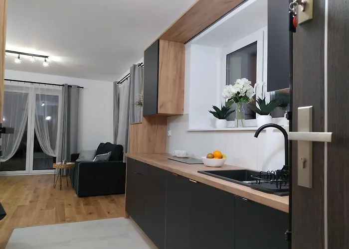 Appartement Nowy Sowia Z Widokiem Na Snieznik *