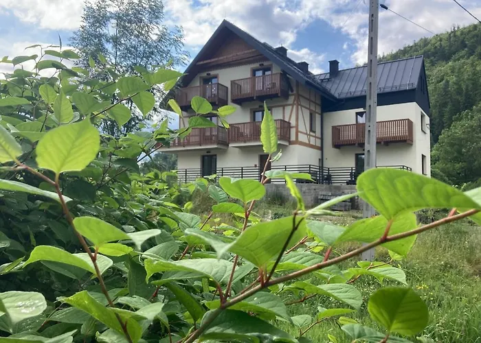 Appartement Nowy Sowia Z Widokiem Na Snieznik *